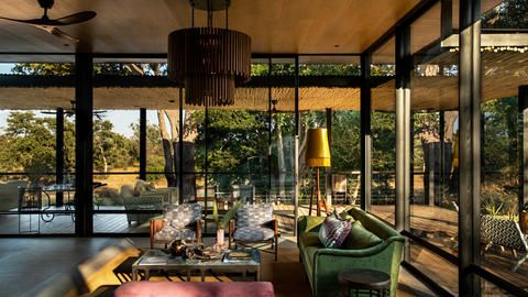 Tanda Tula Safari Camp - Lounge in the morning light