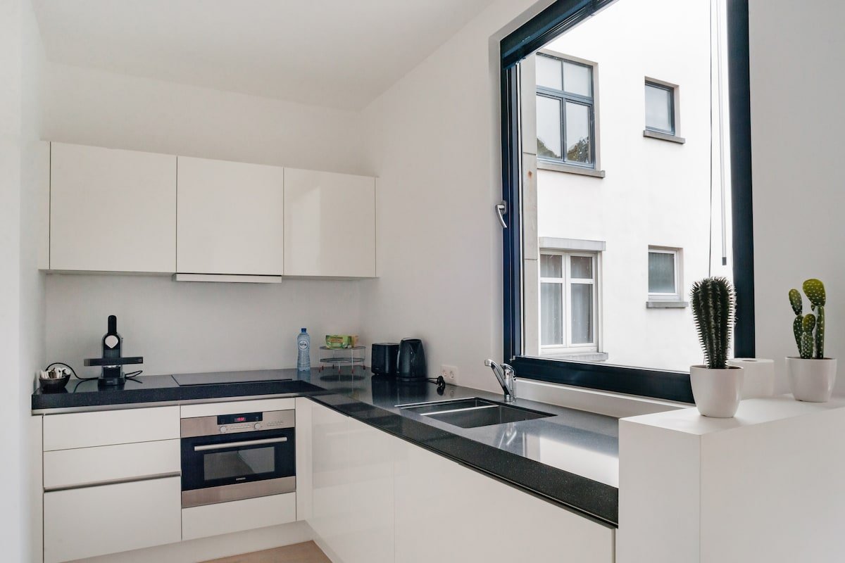 New stylish apartment in Brussels (Apt 3) gallery image 3