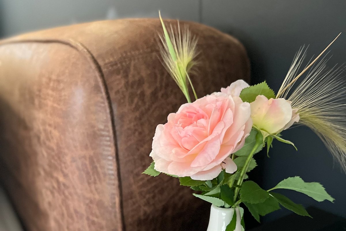 Modern Lux Cottage, Mtn Views, Close to Downtown gallery image 5