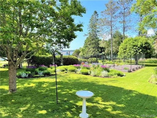 Cottage on Queen gallery image 3