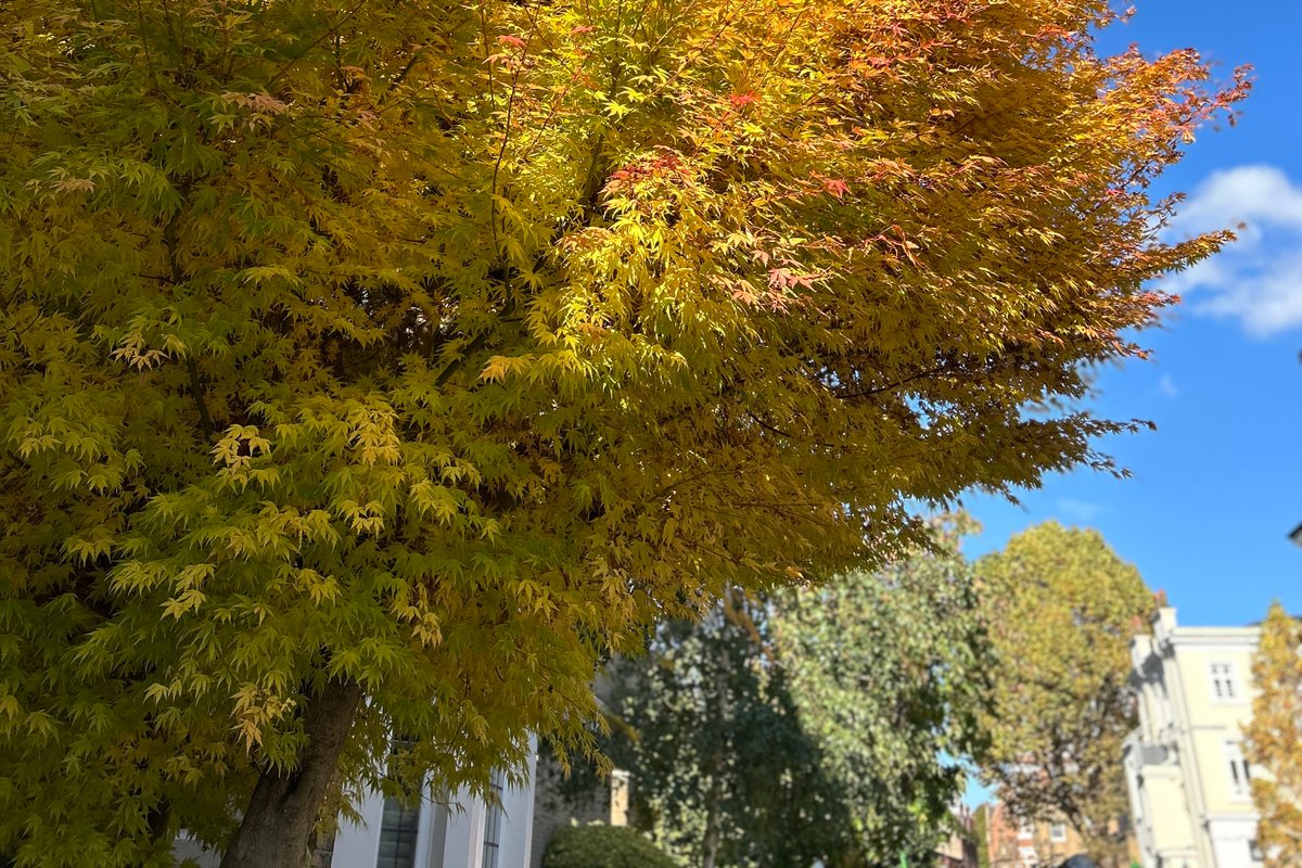 Private entrance sunny high ceiling house