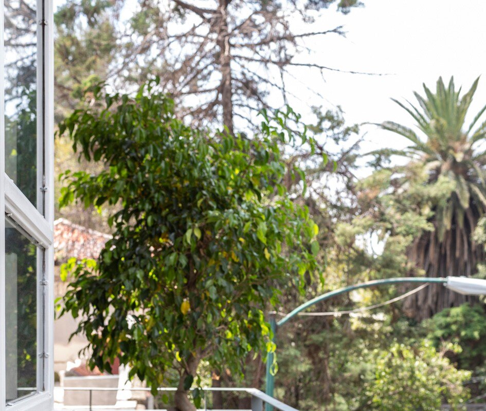 Photographer’s Choice | Condesa | Balcony gallery image 5