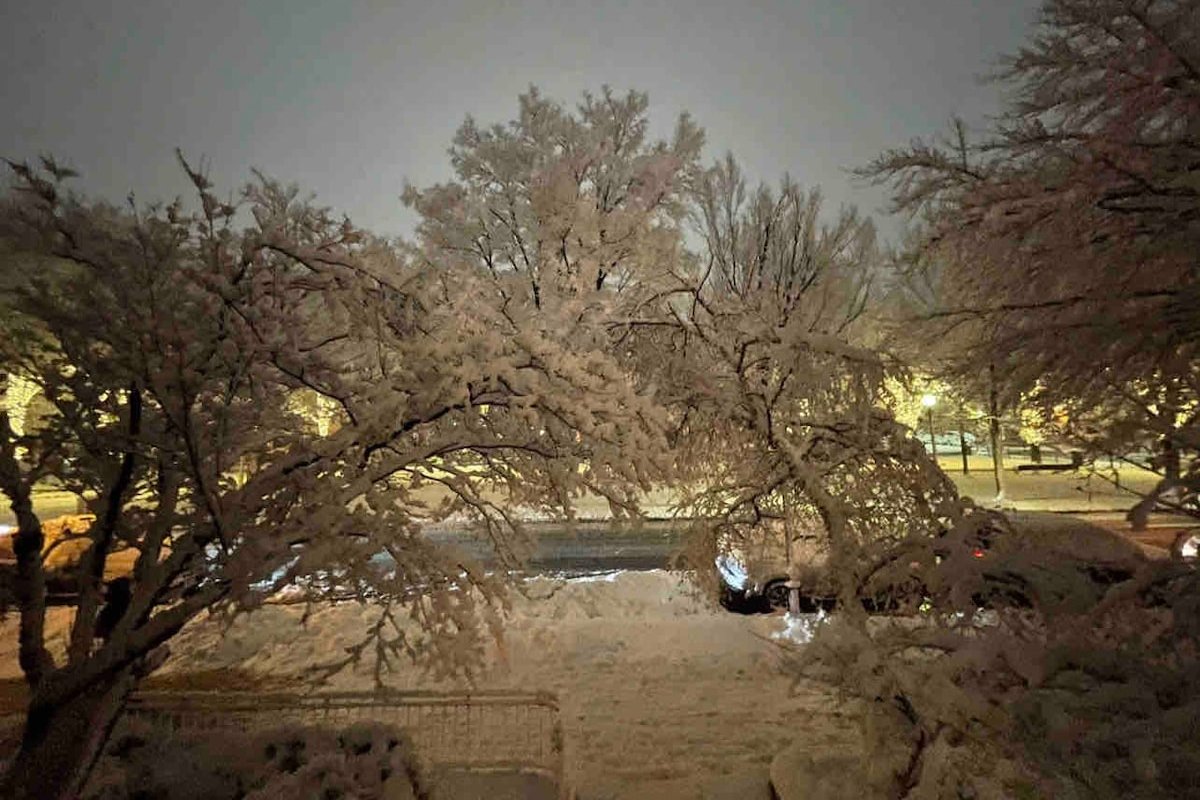 Art Penthouse / Roofdeck in the Heart of Boston gallery image 4