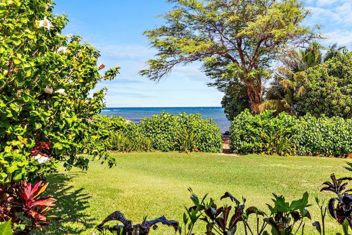 New Listing! Family Friendly, AC, Pool, Oceanfront gallery image 4