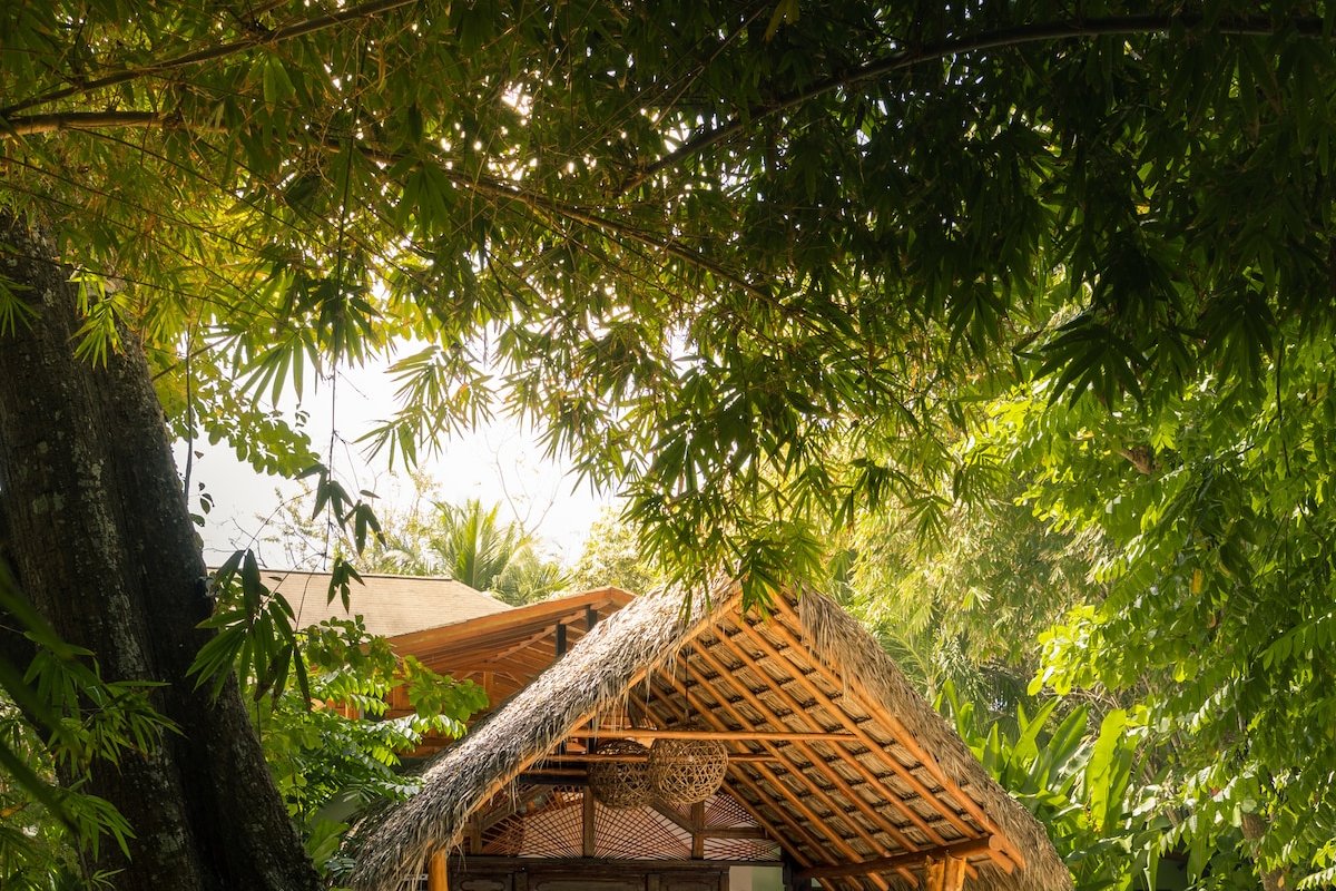 Casa Dewa, Luxury beachfront in Santa Teresa