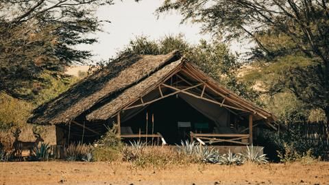 Satao Camp photo