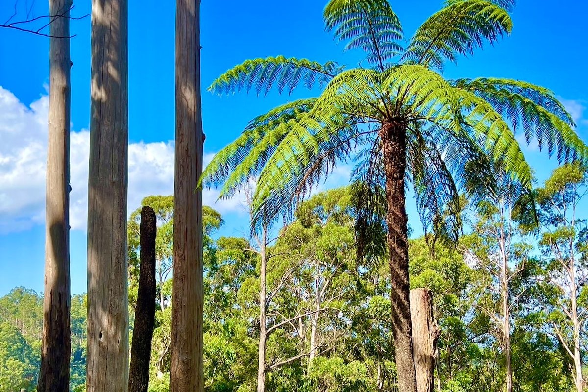 Melbourne Topview Villa Dandenong Ranges Australia gallery image 5