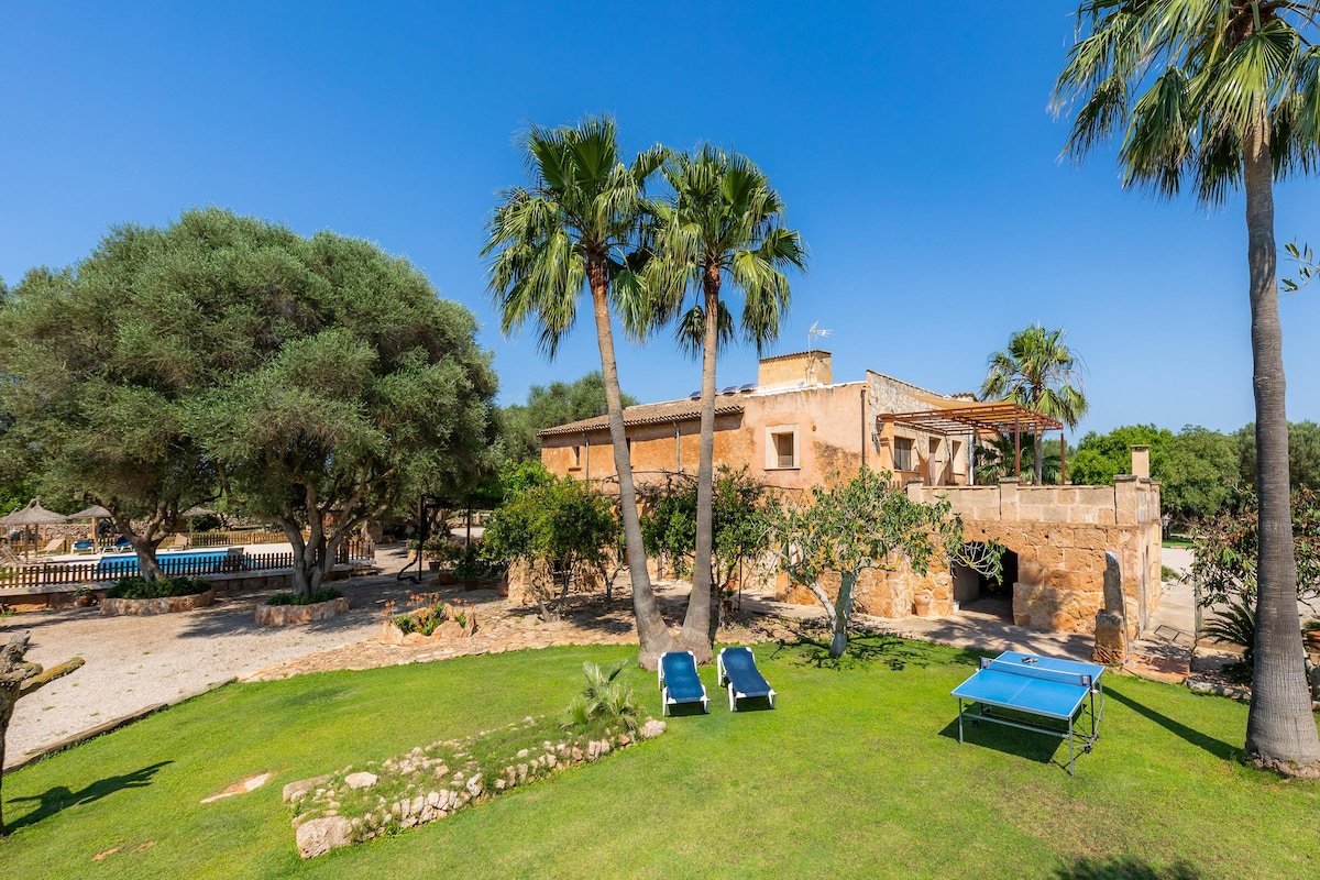 Ponent gallery image 3