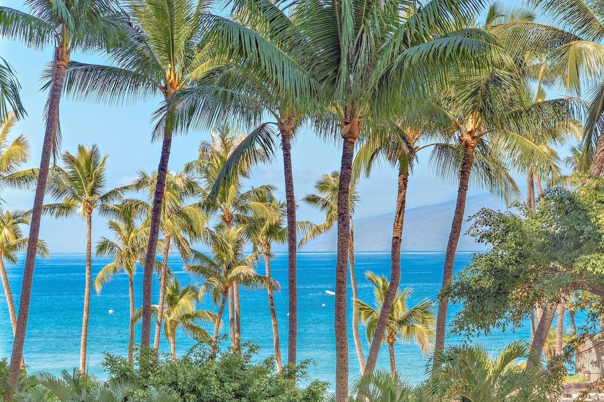 MRR Presents Kaanapali Ali’i 242 gallery image 2