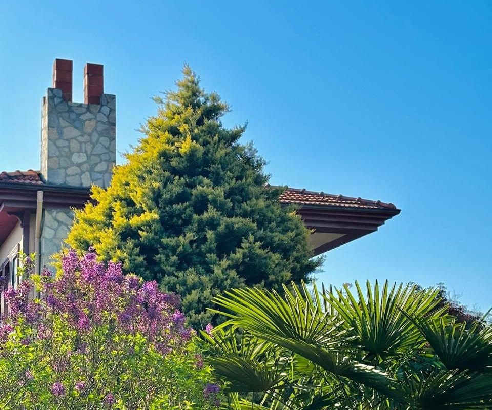 Nehir kıyısı! Jakuzi ve Şömineli 4 Oda, Tüm VİLLA gallery image 4