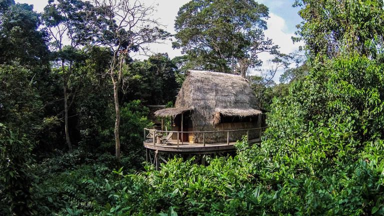 Ngaga Lodge - Guest Chalets