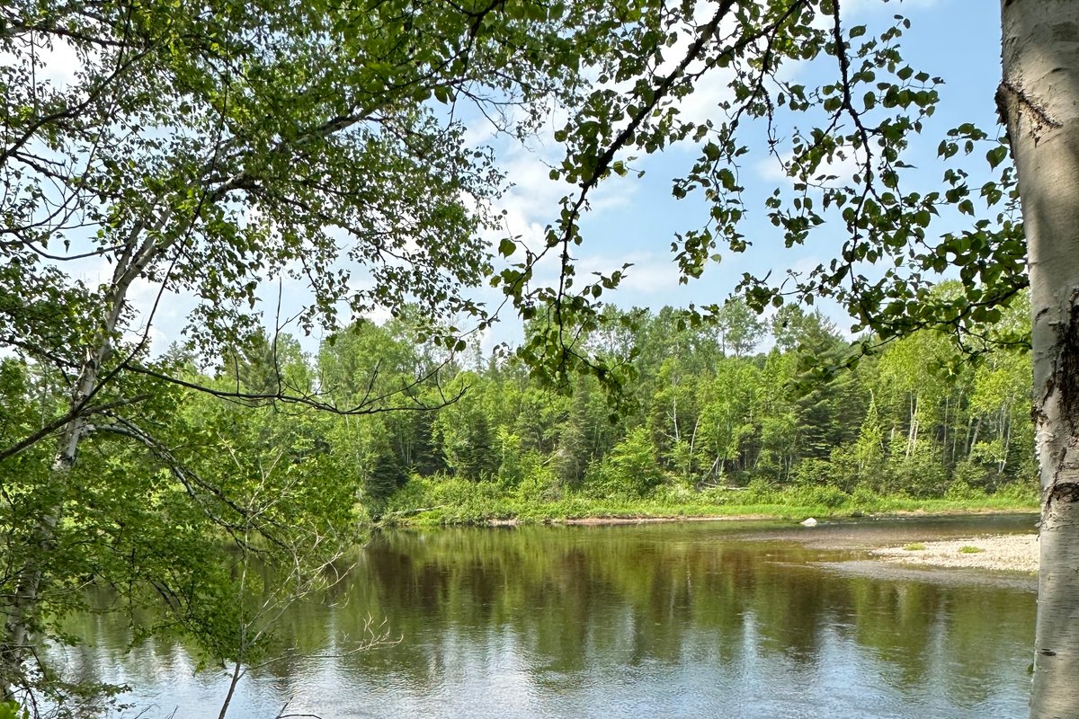 Ruffed Grouse Lodge Renous