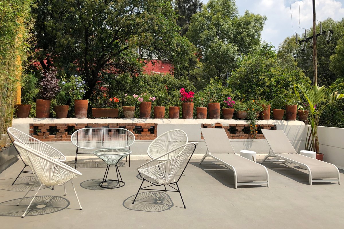 Oasis in Roma Norte | Private Rooftop | 6BR house