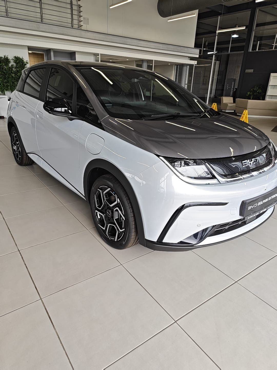 BYD DOLPHIN EXTENDED for Sale in South Africa