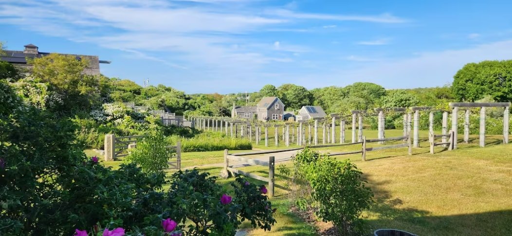 Vineyard Cottage at Spar Point Farm Block Island gallery image 3