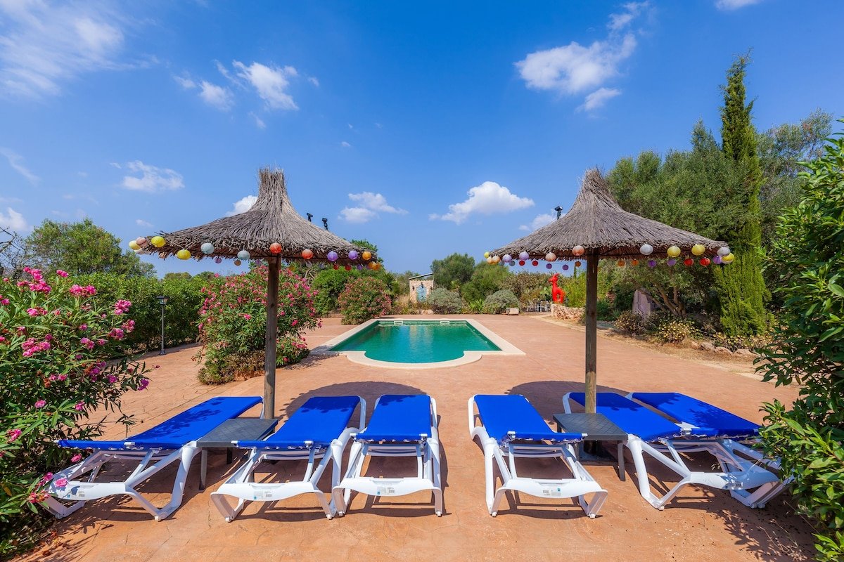 Geminis gallery image 4