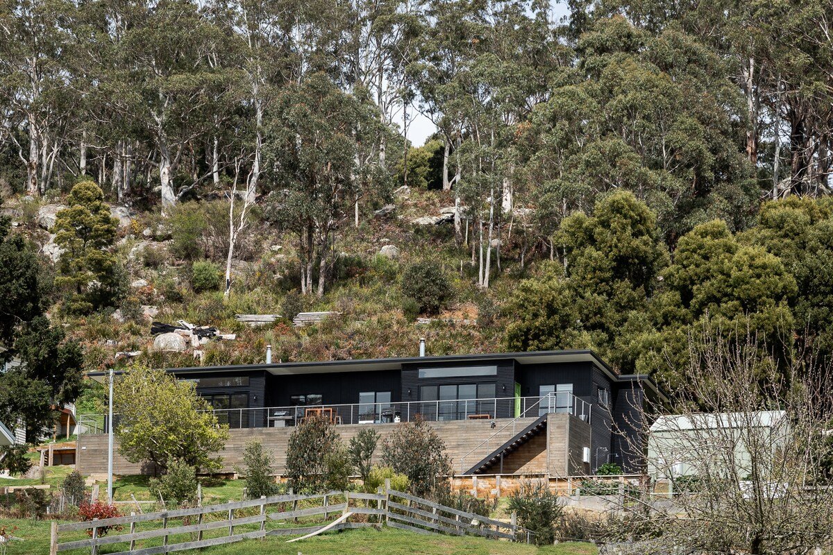 Lake View Derby ‘Briseis’ gallery image 3