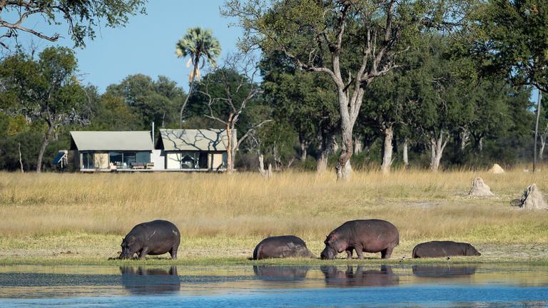 Wilderness Linkwasha Family Accommodation