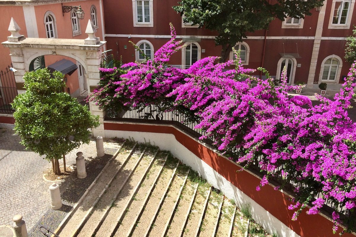 Condessa80 (A) Style & Chic in Chiado gallery image 4