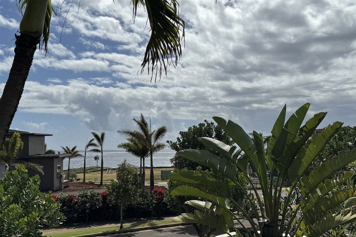 Poipu Ohana Hale! Newly Updated Single Family Home gallery image 4