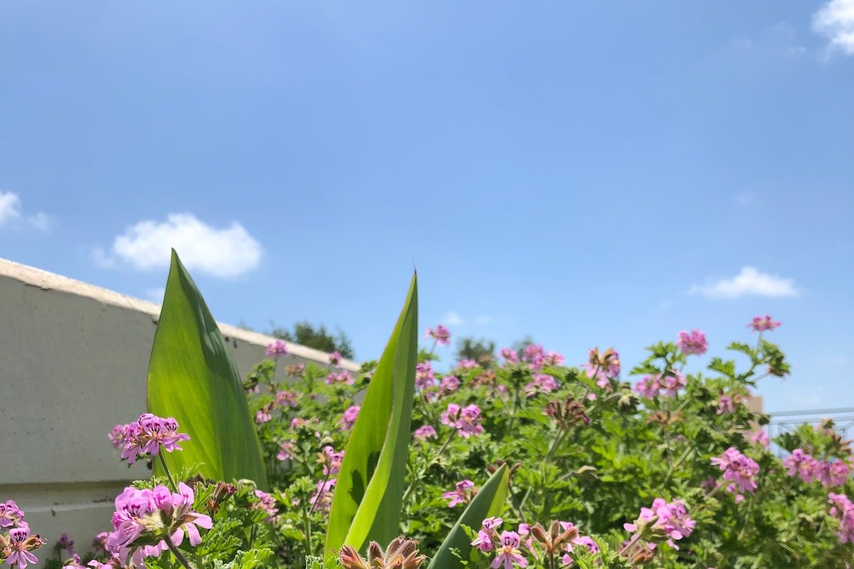 Villa Del Nonno gallery image 4