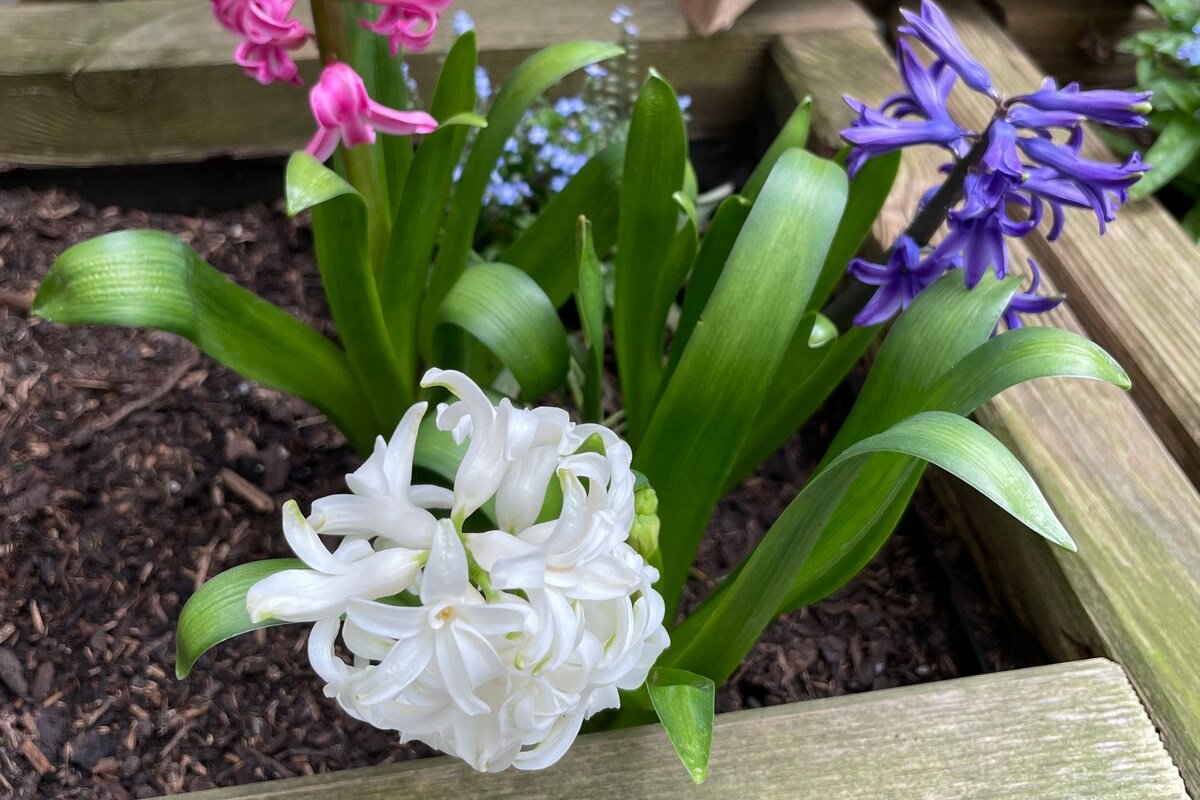 Quiet apartment close to center gallery image 3