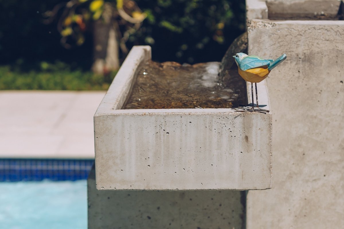 Um Paraíso no Rio. gallery image 3