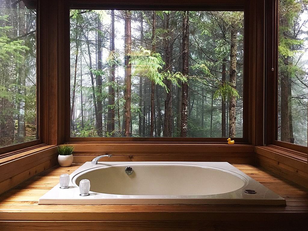 The Sanctuary: Treetop Living gallery image 3