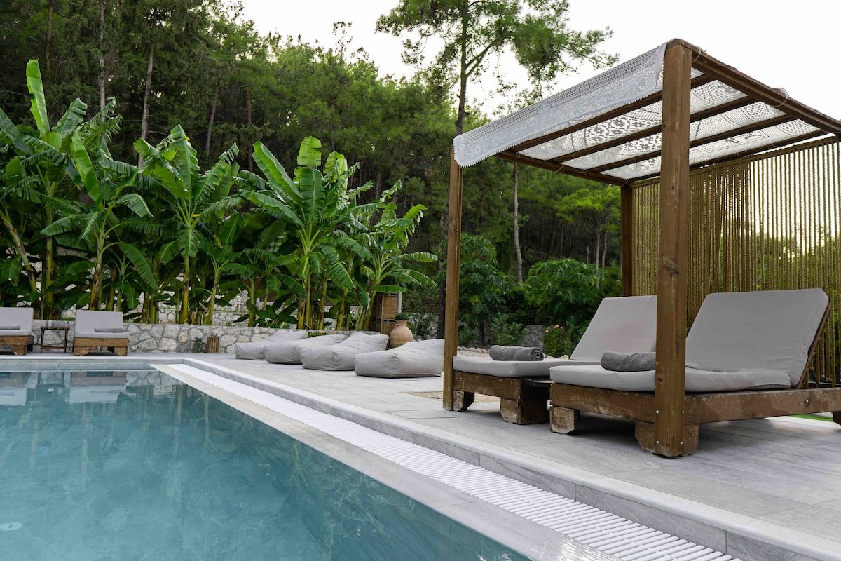 Dasýlio – earthy living rho gallery image 5