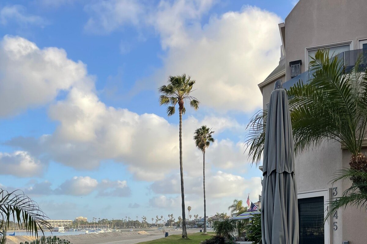 Nothing Like It! gallery image 4