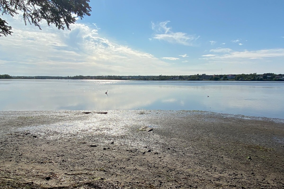 Relaxing Waterfront 2 Bed Cottage gallery image 5