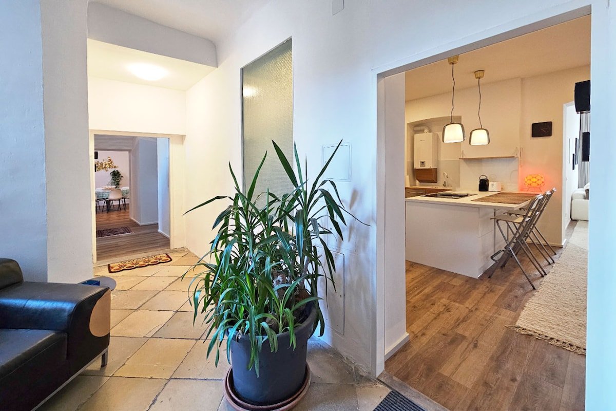 Red-Orange Palm – 200m2, central with style gallery image 2