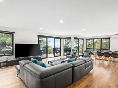 The Wave House – wildlife and nature