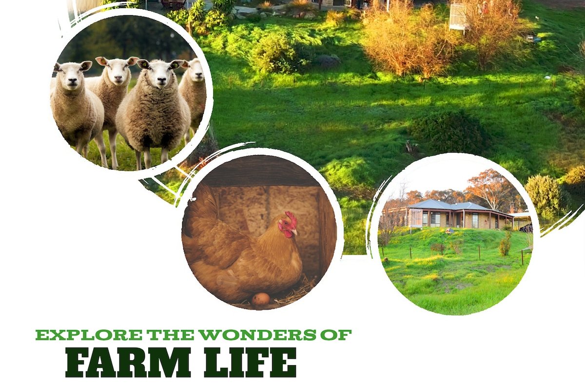 Rose Creek Farm Stay, Williams gallery image 2