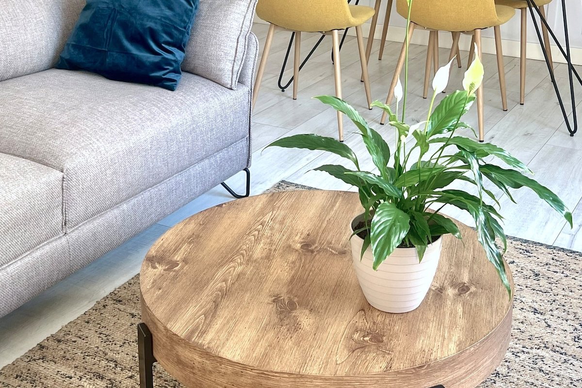 ♥︎ Gorgeous Central Apartment – Beachfront – 3 BD gallery image 4