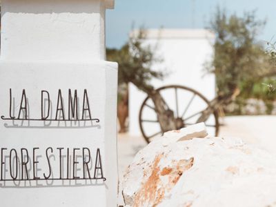 Trullo La Dama Forestiera