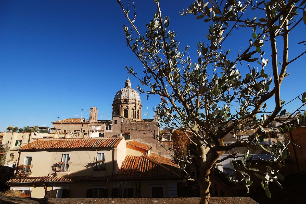 Pink Rooftop Campo de’ Fiori gallery image 4