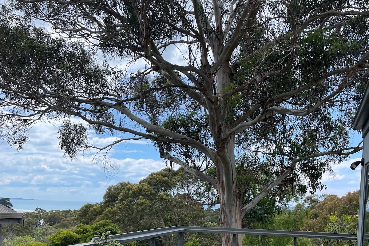 Wave House Two gallery image 2