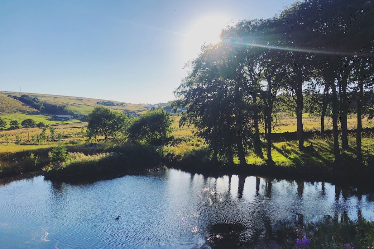 Luxury Cottage*Private Lake*Hot Tub*Farm Animals gallery image 3