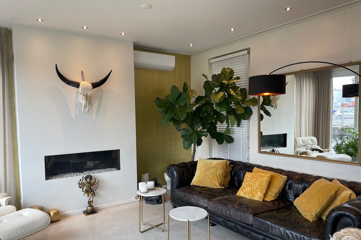 Modern stylish villa: My Amsterdam Houseboat gallery image 3