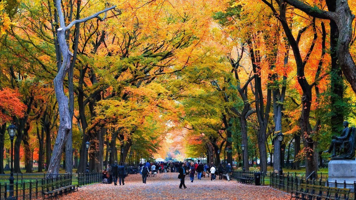 Chic 3 Bed 2 bath | Near Central Park | Quiet | gallery image 5