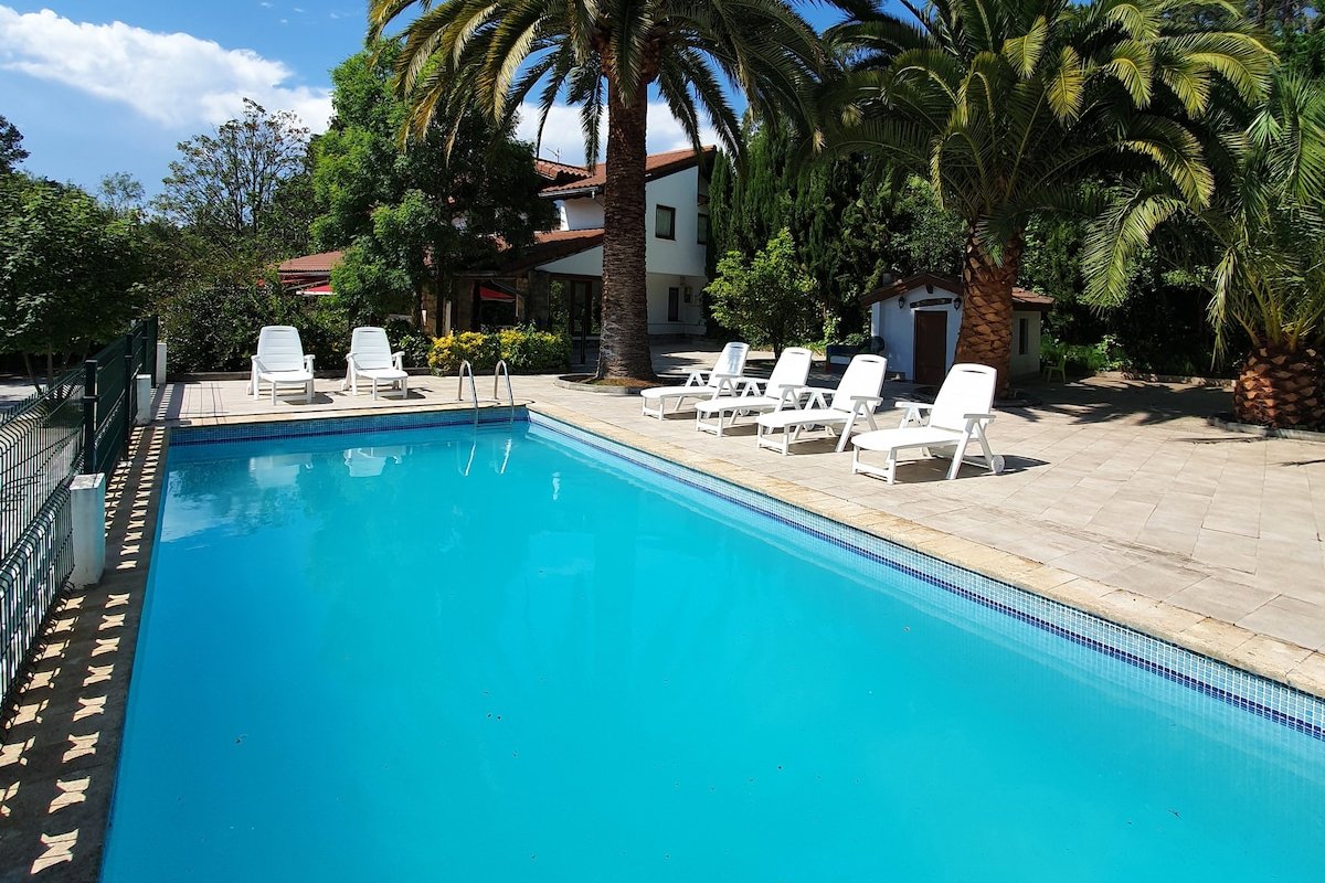 Dreams and friends on the coast of Bilbao. gallery image 4