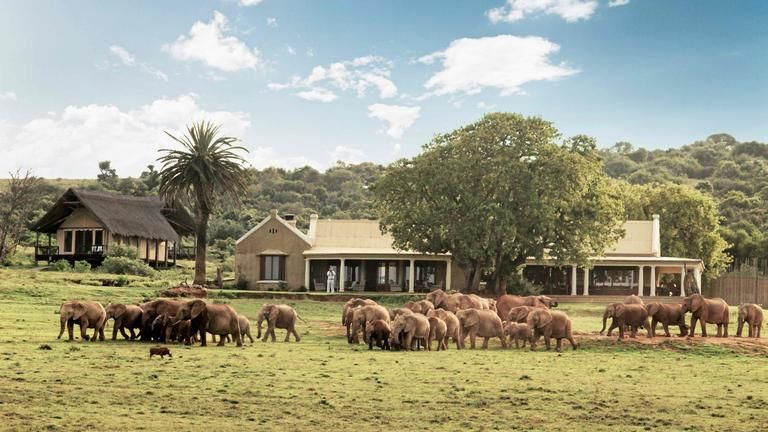 Gorah Elephant Camp Main Lodge - A herd of elephants in front of the Gorah Main Lodge