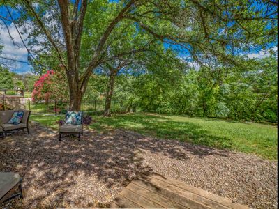 Barton Hills Beauty on Greenbelt near Zilker Park