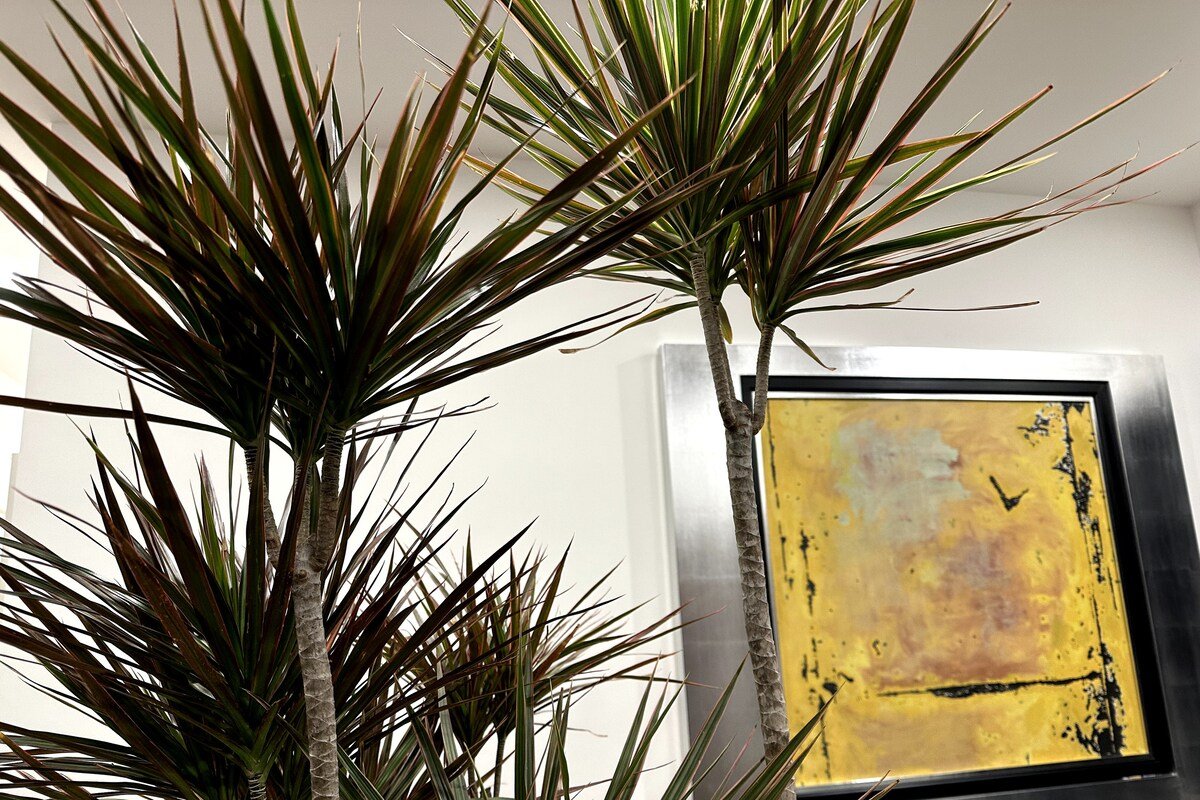 Luxe 2BR Apartment with Linear Park View! gallery image 5