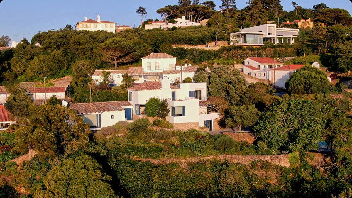 House of million views gallery image 4