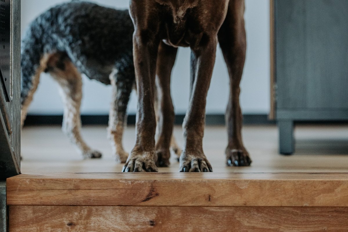 Driftaway gallery image 5