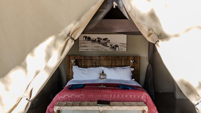 Safari Camp