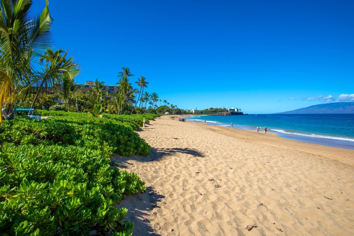 KBM Resorts | FREE CAR Colony Villas CVW-2004