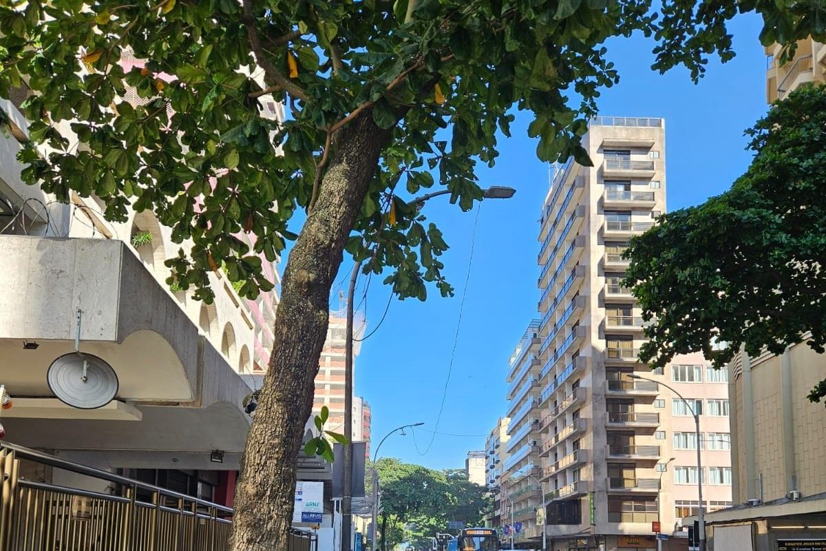 Apartamento charmoso Ipanema gallery image 4